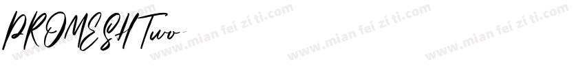 PROMESH Two字体转换